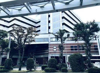 化粧済