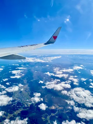 青空に映える飛行機の翼