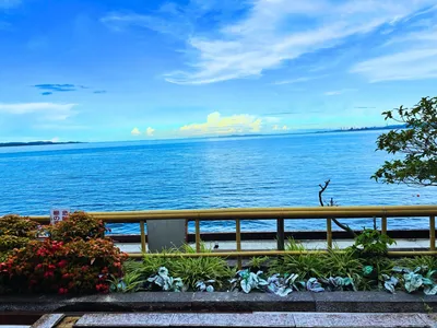 大分の海