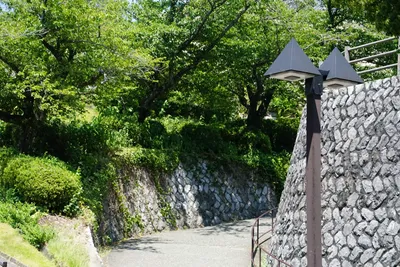 緑陰に包まれた静かな小径