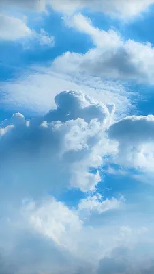 IMG20210806161955