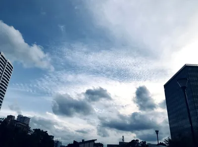 見事な空
