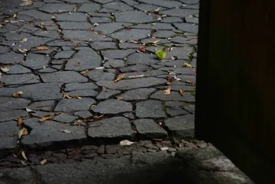 秋の落ち葉と石畳の風情