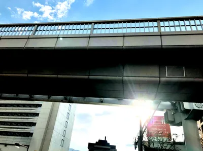 平和通り逆光