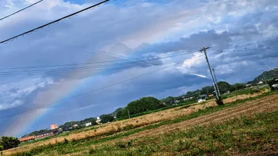 虹の橋