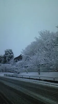 仁和寺大雪
