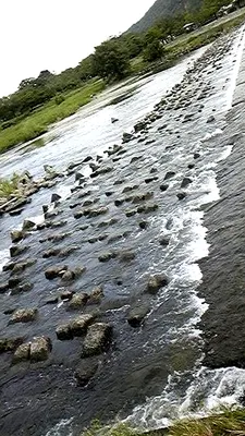 渡月橋