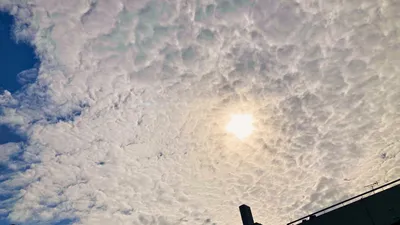 鱗雲