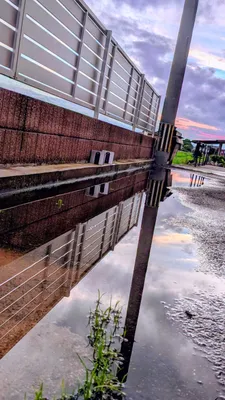 水たまり