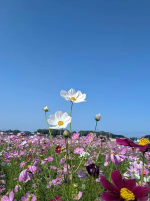 空に向かって