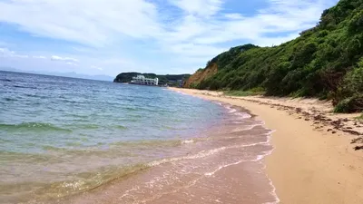 透き通る浅瀬と緑の岬が続く砂浜