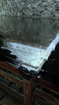 雨の降る堀と石垣