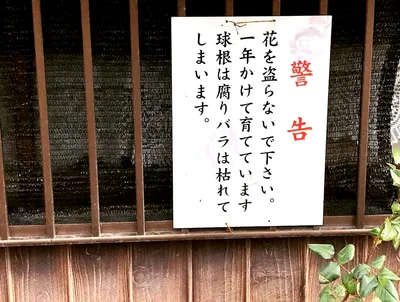 盗るな