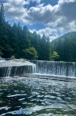 自然の驚異！清流の美しい滝
