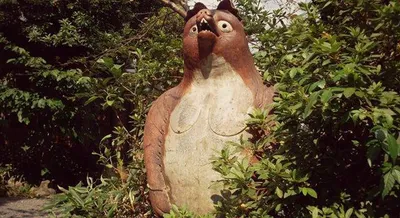 狸
