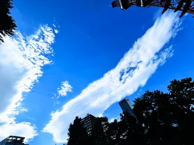 見上げた青空と流れる筋雲