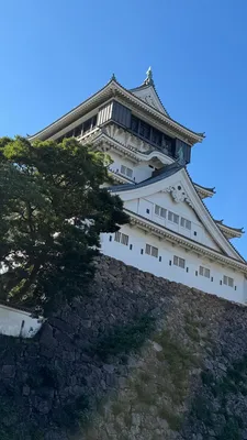 城