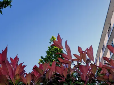 晴天1