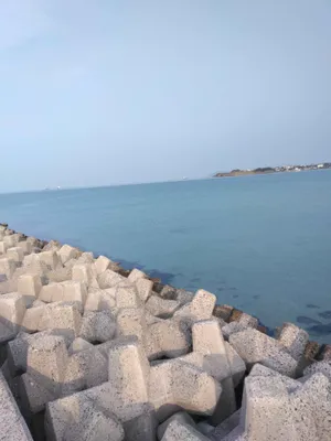 海1