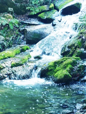 夏の滝