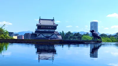 天守を映す水鏡とたたずむカラス