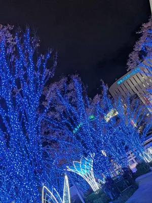 青のイルミネーション