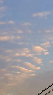 叢雲-むらくも-(縦)