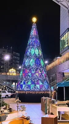 クリスマスツリー