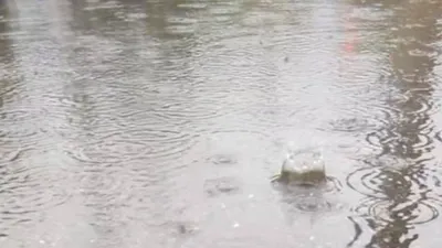 水溜りの波紋②(横)