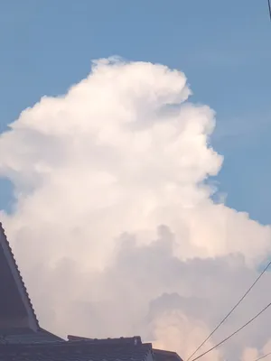 青空に浮かぶ夏の大きな雲
