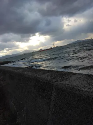 黒い海