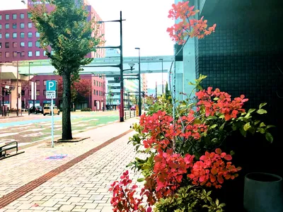 花屋の前