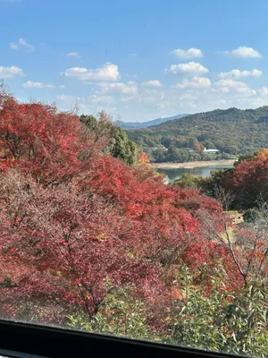 明治村の紅葉