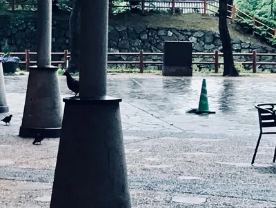 雨宿り