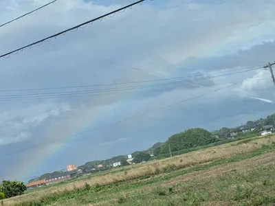 綺麗な虹とのどかな畑