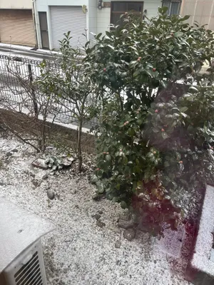 窓際の雪化粧