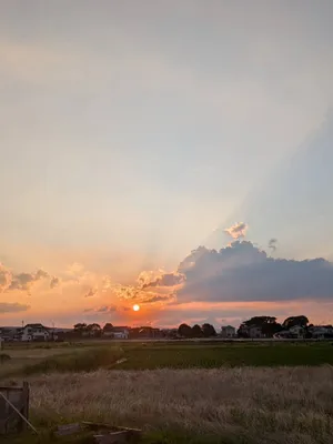 綺麗な夕焼けと畑