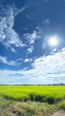 青空と田園風景の広がる日差し