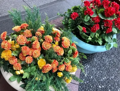 リバーウォーク花壇
