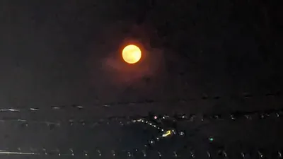 光るブルームーン(横)