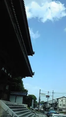 京都・御室仁和寺2