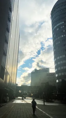 朝の都会の爽やかな散歩