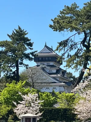 春と初夏の合間