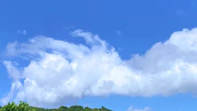 山の上に湧く夏の積雲