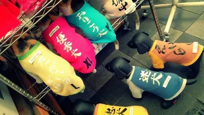 おもしろTシャツ