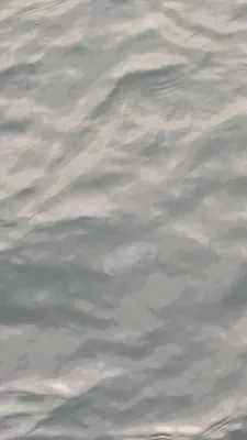 波間に漂う一匹のクラゲ