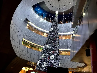 リバーウォーク・クリスマス2023_1