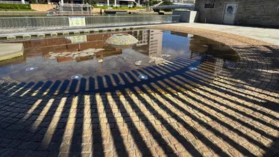 水辺の公園