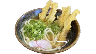 ごぼう天うどん