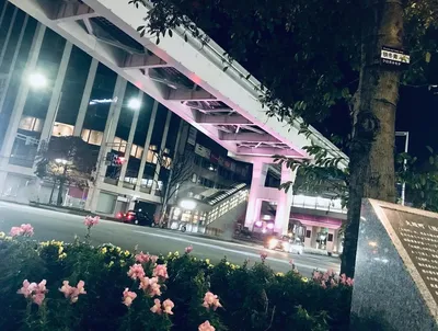 平和通りピンク